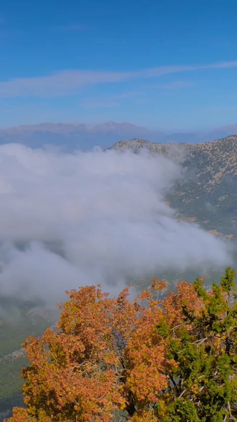Vertical, timelapse: drifting white clouds and autumn foliage at Babadag summit Vídeo Stock 344992185
