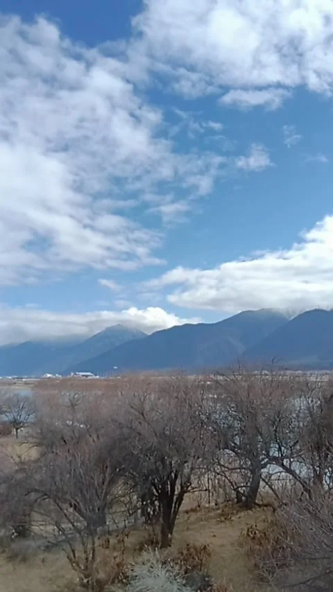 Vertical Timelapse of Fast Moving Clouds over Mountains with Winter Trees in Stock Footage 326079272