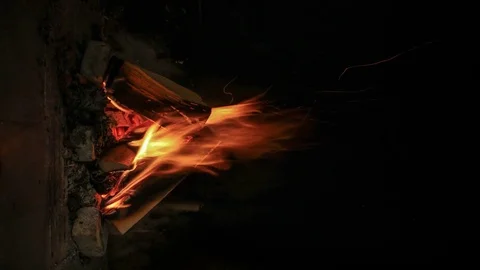 Vertical timelapse of fire Vidéo 82960350