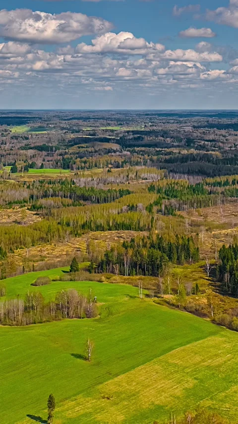 Vertical timelapse of flowing clouds over a vibrant green countryside in Latvia. Video stock 313855778