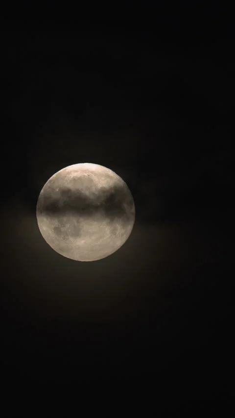 Vertical Timelapse of Full Moon Veiled by Thin Night Clouds. Stock Footage 314615834
