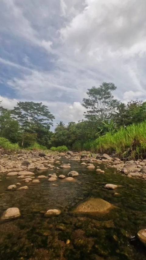 Vertical timelapse of a mountain river during the day with a white cloudy sk Stock Footage 323043252