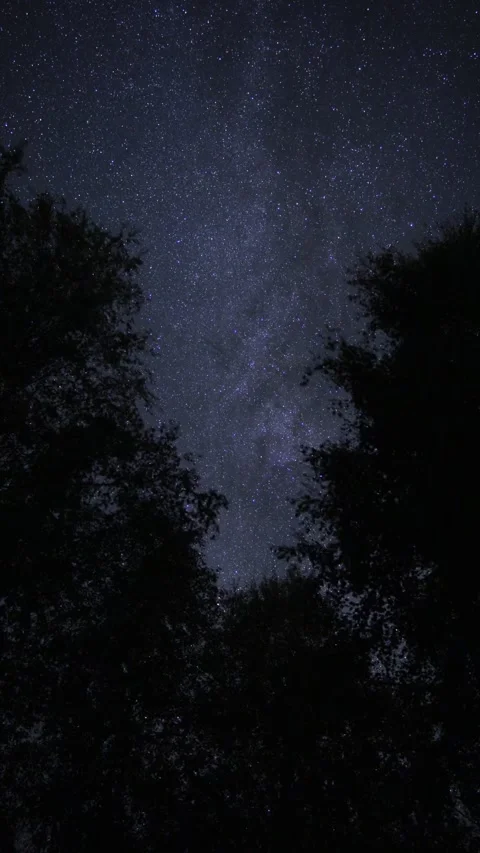 Vertical timelapse of night sky full of stars passing by. Video stock 289073873