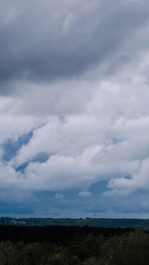 Vertical Timelapse Overcast Clouds Drifting Over Forest Horizon 60fps Stock Footage 310872157
