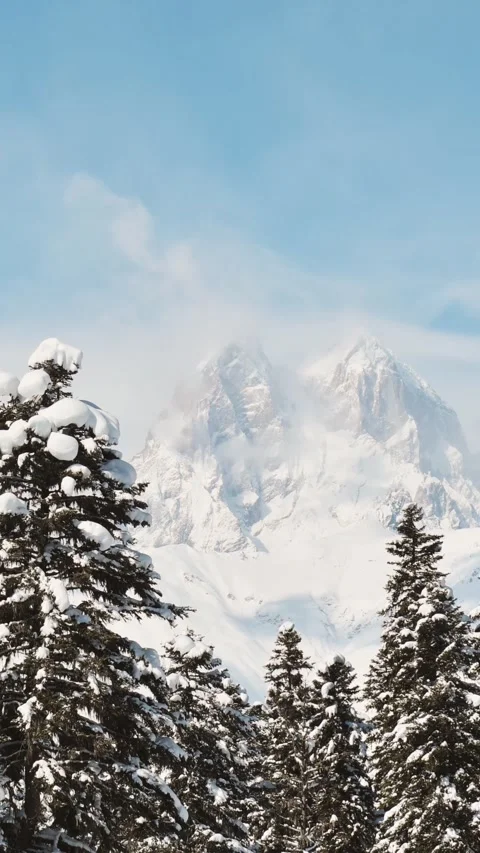 Vertical timelapse Snowy pine forest with Ushba peak in Svaneti Georgia, wi.. Vídeos de archivo 315498370