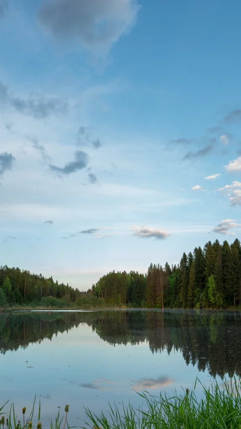 Vertical timelapse of a tranquil forest lake reflecting the sky and... Stock Footage 340115954