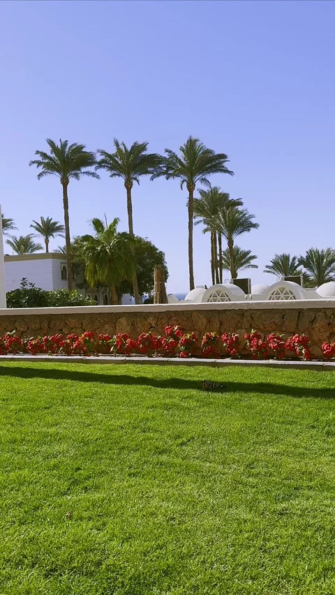 Vertical timelapse of tropical landscape of Resort Stock Footage 304367389