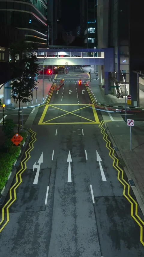 Vertical timelapse video night illuminated of the small street road in the .. Stock Footage 229751442