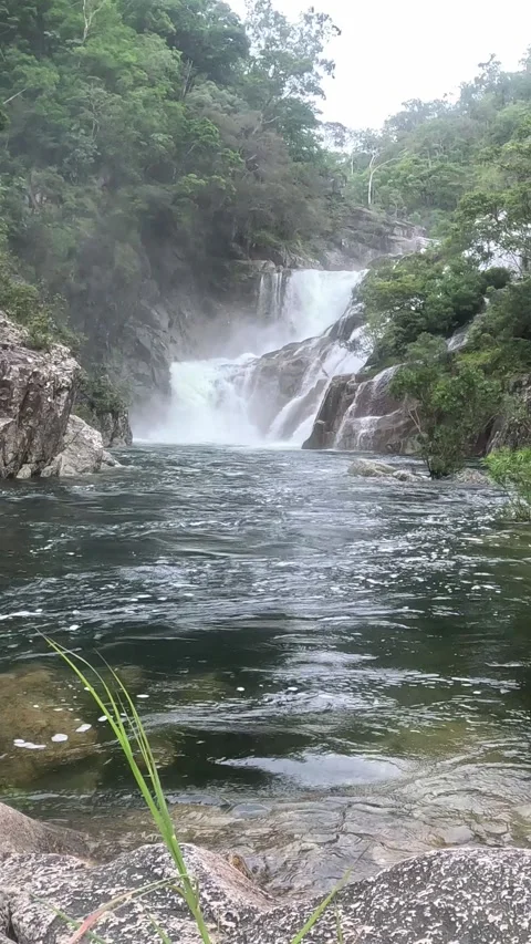 Vertical timelapse video of Scenic waterfall flowing into a river in a lush Stock-Footage 330468939