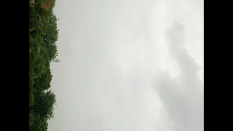 Vertical timelapse video of white sky and tree with small clouds moving, cl.. Stock Footage 294920547