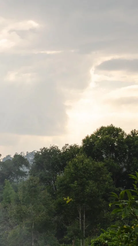 Vertical timelapse view of natural winter mountain range with some cloud fo.. Video stock 228716728
