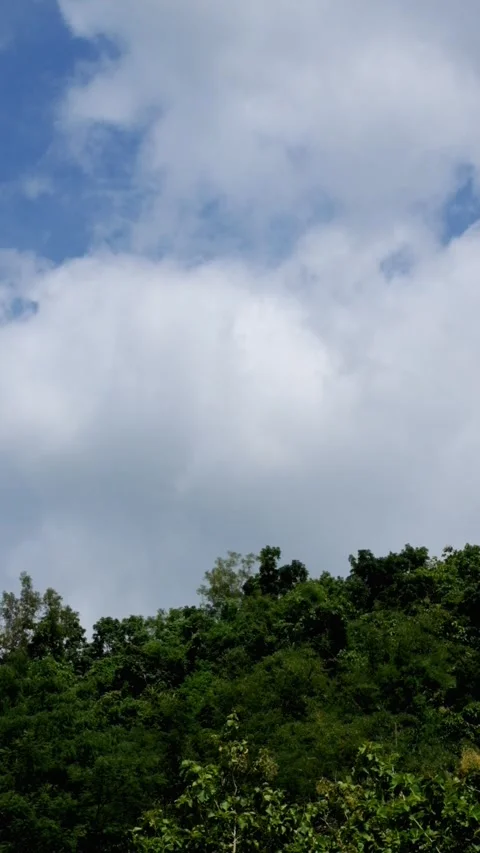 Vertical timelapse of white clouds over a forest during a sunny day Video stock 336877455