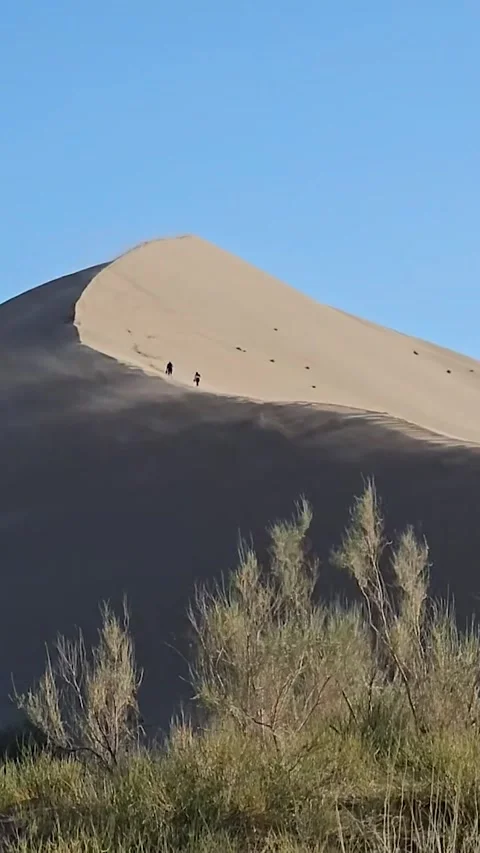 Vertical Timelapse of Wind Blowing Sand on Singing Dune 스톡 동영상 337832934