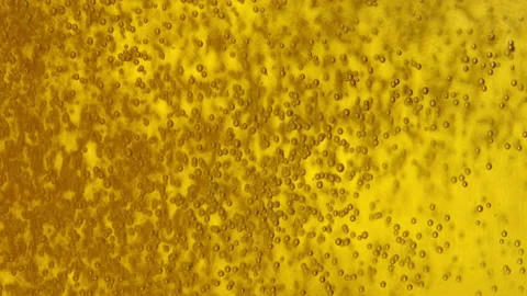 VERTICAL: Tiny co2 bubbles float around golden beer getting poured into a glass. Stock Footage 166524740