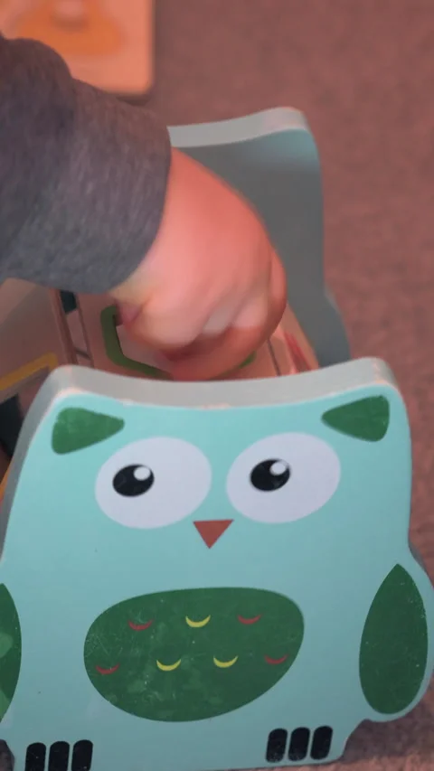 Vertical Toddler Putting Block Into Owl Shape Sorter Stock Footage 329369049