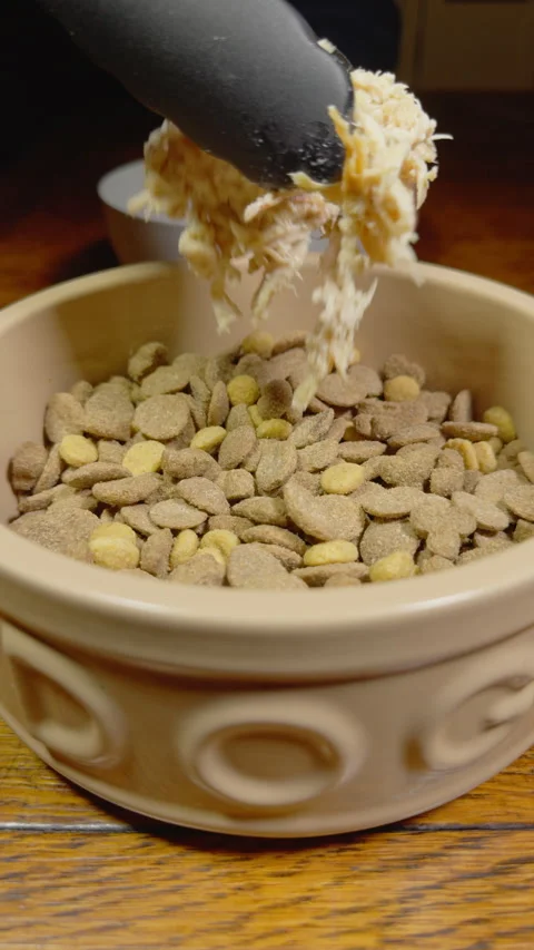 Vertical - Tongs adding leftover cooked chicken to dog kibble in a bowl. Stock Footage 295125149