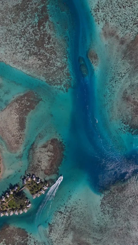 Vertical Top Down Aerial Moorea Reef Channel Boat Trail French Polynesia Vídeo Stock 335509736