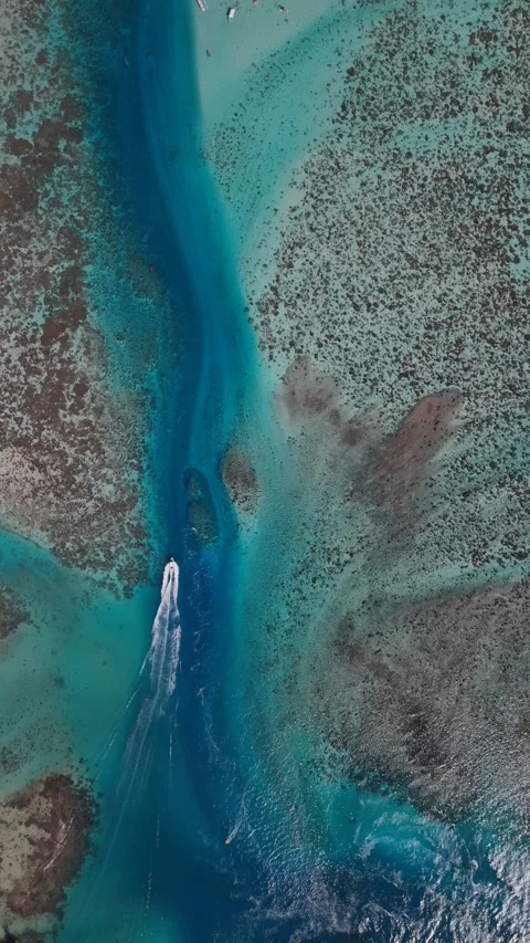 Vertical Top Down Aerial Moorea Reef Channel Boat French Polynesia 库存影片 335509739