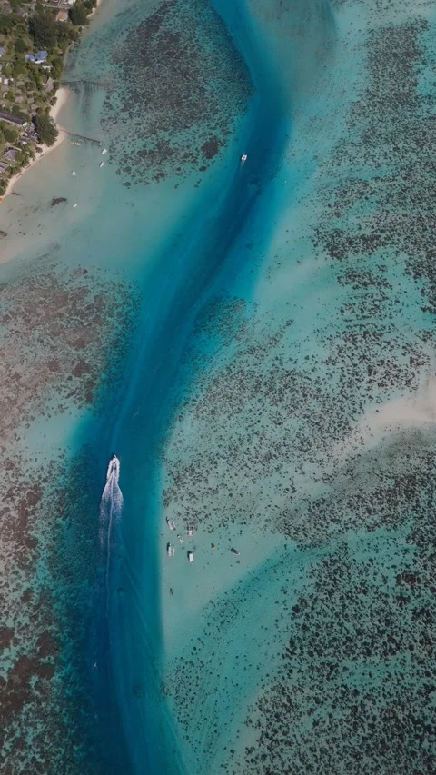 Vertical Top Down Aerial Moorea Lagoon Channel Boat Motu French Polynesia Stock-Footage 335509820