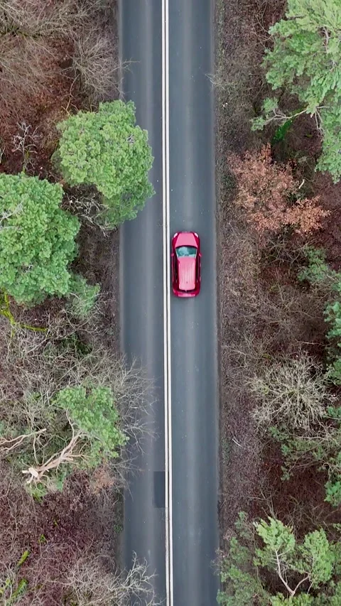 Vertical Top Down Aerial of Traffic Cars on Forest Road Stock Footage 323877911