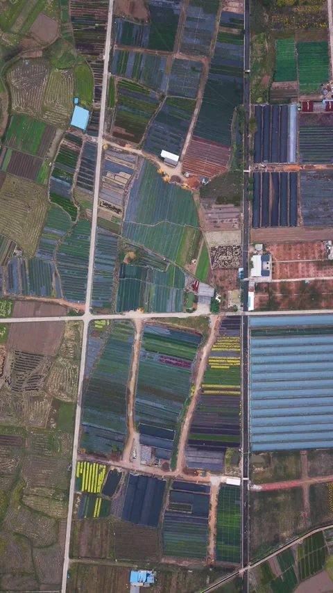 Vertical top-down aerial view of colorful patchwork farmland in Huishui Stock Footage 321799003