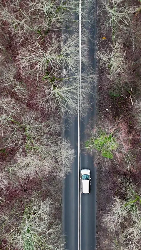 Vertical Top Down Aerial View of Cars and White Truck on Forest Road Stock Footage 323721291