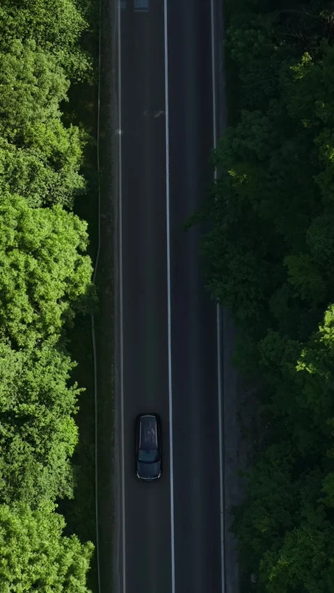 Vertical Top Down Drone Shot of Traffic on Countryside Road Between Green Trees Stock Footage 346186973