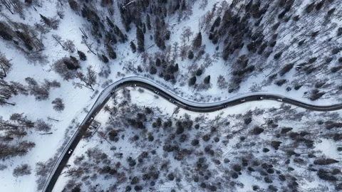 Vertical top down drone view of serpentine road in snowy Xinjiang forest Stock Footage 336600615