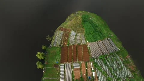 Vertical Top Down Drone View of Mountain Farmland with Agricultural Pattern Stock Footage 341351960