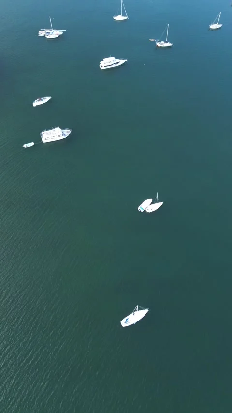 Vertical Top-Down View Boats in Turquoise Bay, Miami Stock Footage 340532169