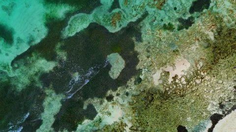 Vertical Top down view of Heart lagoon in Caribbean Sea, Dominican Republic Stock Footage 266449010