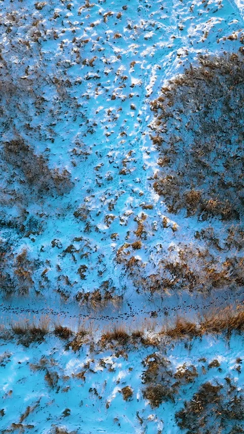 Vertical Top Down View Of Winter Field With Snow And Dry Grass Stock Footage 337798741