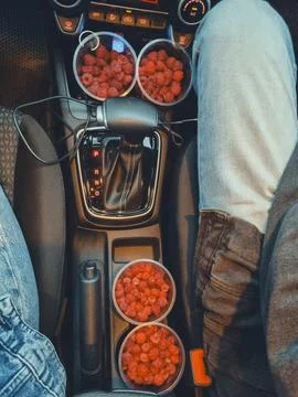 Vertical top view of car dashboard with four glasses of ripe raspberries Stock Photos