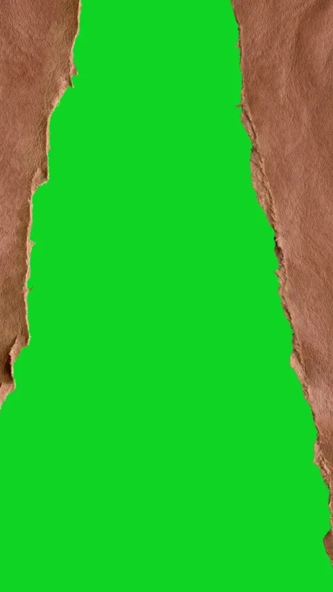 Vertical torn brown leather texture split space revealing animated on green Stock Footage 335216712