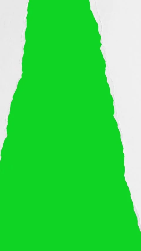 Vertical torn smooth clean white paper split up revealing animated on green Stock Footage 335216656