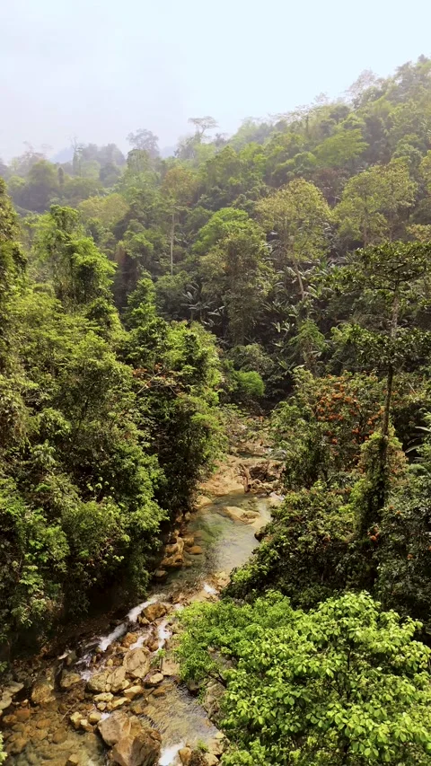Vertical Tour on the Ha Giang Loop Vietnam, Culture and Mountain Adventure Stock Footage 321523110