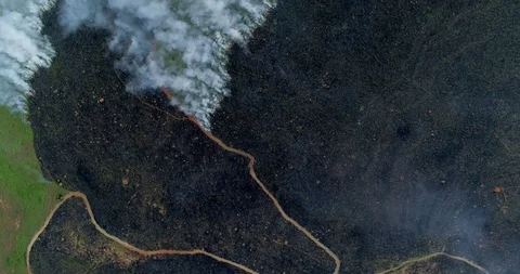 Vertical tracking drone shot showing scarred hillside as its green grass burn Stock-Footage 85644734