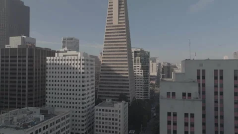 Vertical tracking from low to high of Transamerica Pyramid in San Francisco Stock Footage 336793109