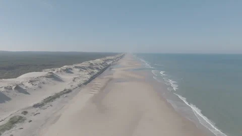 Vertical tracking profile view beach 스톡 동영상 345249436
