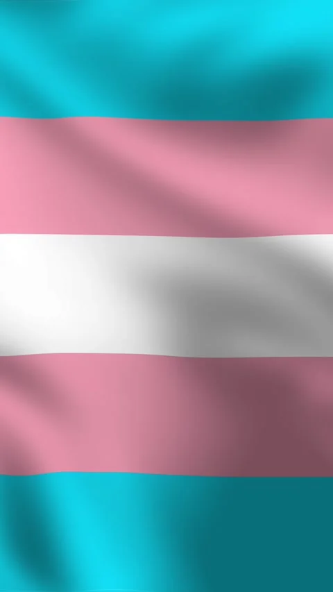 A vertical transgender flag featuring light blue, light pink, and white stripes 動画素材 308665359