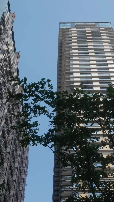 Vertical Tree Branches in Wind with Urban Skyscrapers Behind Stock Footage 308934965