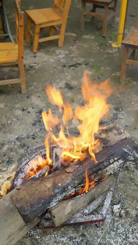 Vertical tree trunks and burn them to stay warm through the bitter winter cold. 動画素材 331275805