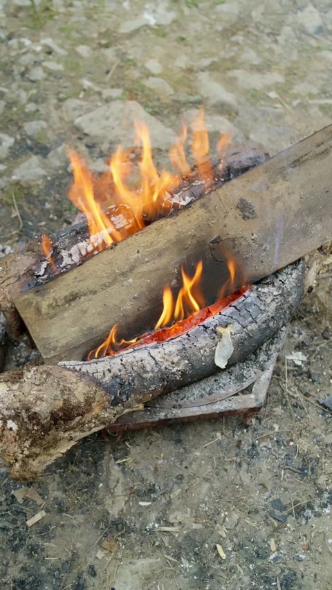 Vertical tree trunks and burn them to stay warm through the bitter winter cold. Stock Footage 331275815