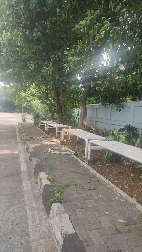 Vertical Trees Swaying in Wind Beside Park Benches and Brick Pathway Stock Footage 339592836