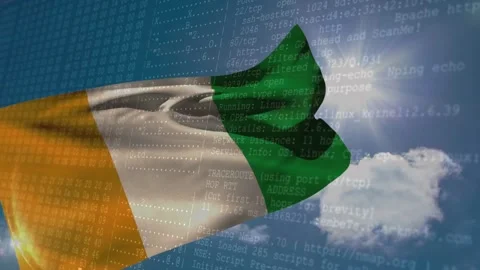 Vertical tricolor flag billowing as wind starts, sun flaring, code overlay Stock Footage 329472063