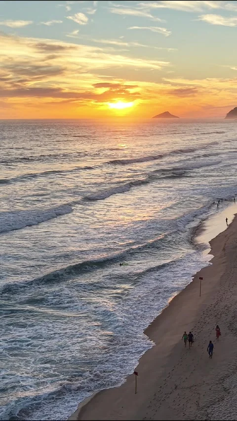Vertical Tropical Beach Sunset with Palm Trees and Ocean Waves Vídeo Stock 340528981