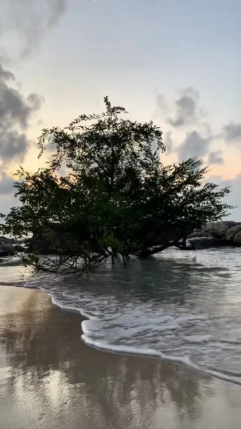 Vertical Tropical Beach Waves at Parai Beach Resort Bangka Island Indonesia Stock Footage 337579894