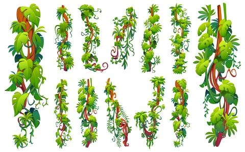 Vertical tropical jungle rain forest liana vines Stock Illustration
