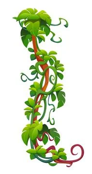 Vertical tropical jungle rain forest vine branch Stock Illustration