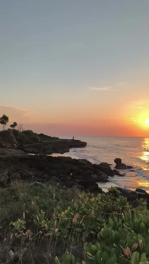 Vertical Tropical Sunset over Rocky Ocean Coastline Stock Footage 340416122